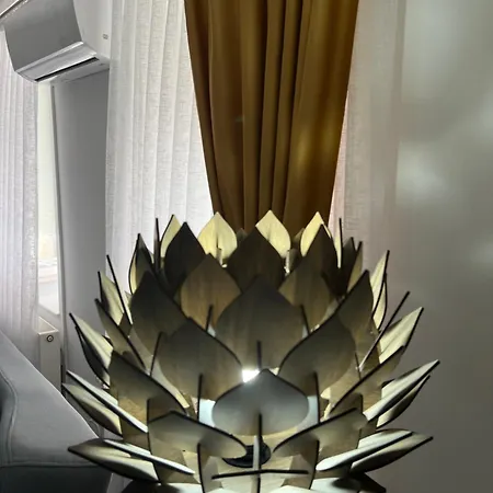 Shine